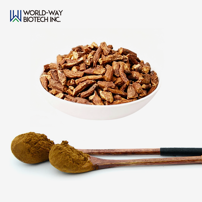 Dandelion Extract Powder Dandelion Extract Powder